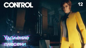 Control. Часть 12. Удаление плесени