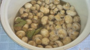 Грибы маринованные (на зиму)