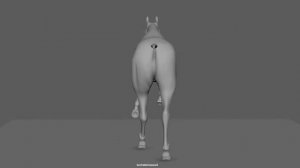 3D CG Horse Animation Test v3 (Gallop)