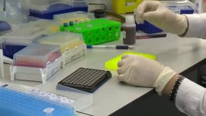 Подготовка ДНК библиотек для секвенатора Illumina MiSeq DNA library preparation for Illumina MiSeq