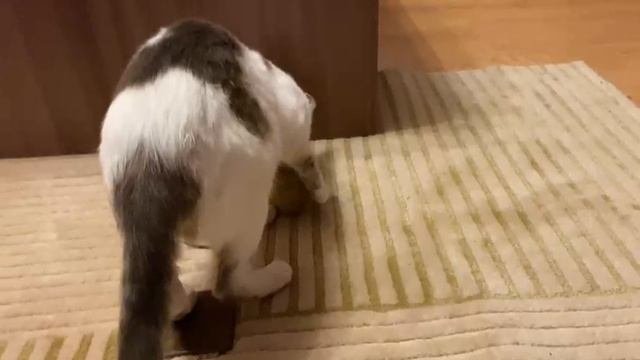Малышка Видео 01.05.23