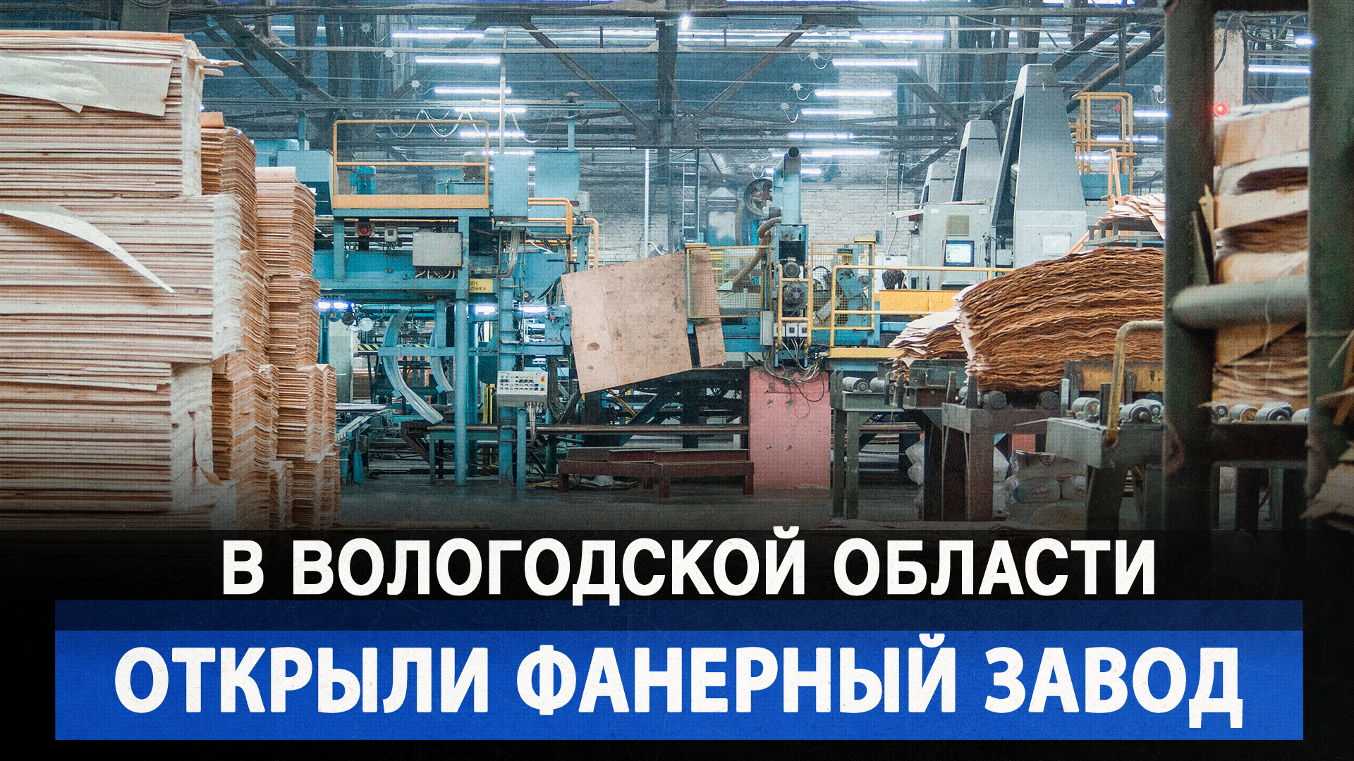 В Вологодской области открыли фанерный завод