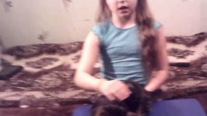 Мой котёнок Макс