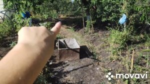 Дорожка на даче из плитки по форме, женскими руками!