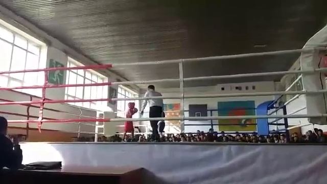 бокыс смотреть онлайн