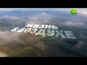 Жизнь в воздухе. Час пик в небесах