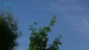 Deadly Women 2024 🌷🌲🌺 Second Best ~ Deadly Women Full Episode 🌷🌲🌺 (HD 1080)