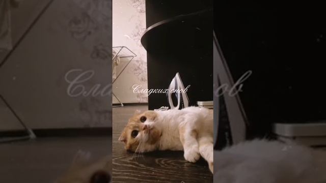 Когда провалился во сне смотреть онлайн