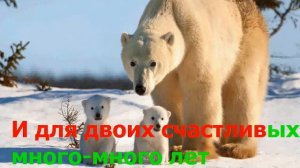 Караоке  "Песенка о медведях"