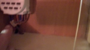 Таймер НЕДЕЛЬНЫЙ ДЛЯ ОСВЕЩЕНИЯ КУРЯТНИКА от SINOTIMER