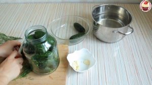 ХРУСТЯЩИЕ МАЛОСОЛЬНЫЕ ОГУРЦЫ в банке с чесноком и зеленью