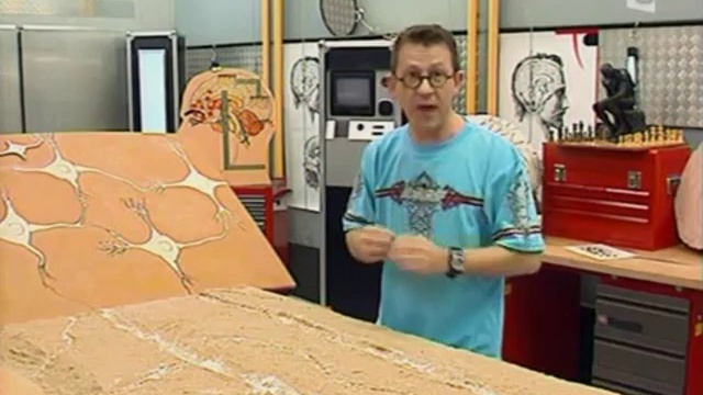 C'est Pas Sorcier - Le Cerveau 1 смотреть онлайн