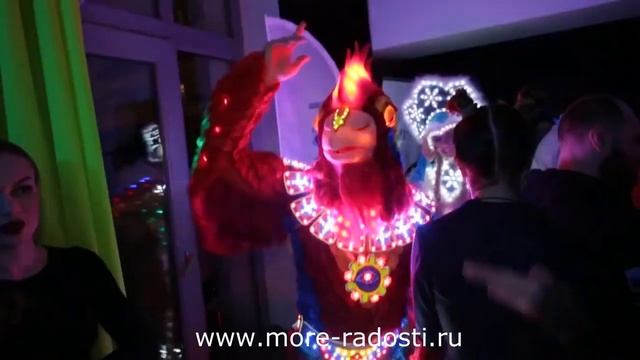 Дед Мороз и Снегурочка на корпоратив смотреть онлайн