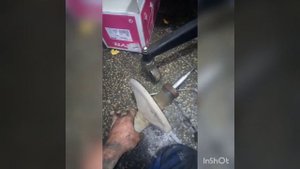 Полный ремонт ходовой и развал/схождение на LEXUS RX300.