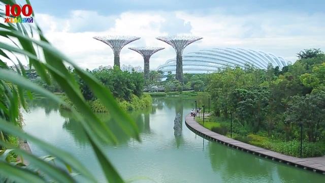 Сингапур. Побывать в Сингапуре - желание 37 смотреть онлайн