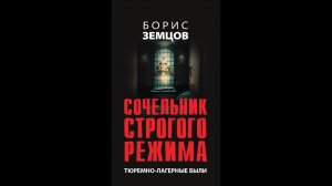 Презентация книги Бориса Земцова "Сочельник строгого режима"