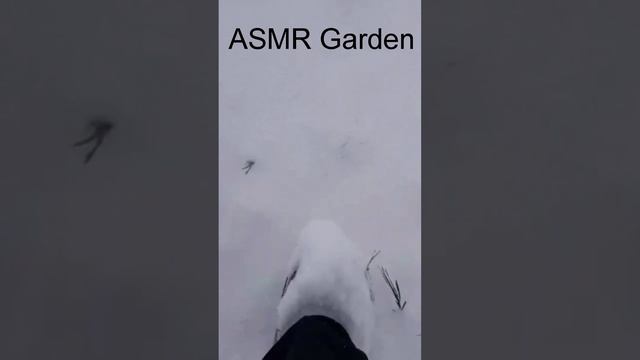 самый расслабляющий асмр #Shorts