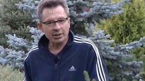 ✽ Хвойные растения в ЛАНДШАФТНОМ дизайне ✽ Ландшафтный дизайн участка✽ Школа дизайна - #NOVA