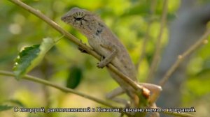 Тайны подземелья: 7 самых загадочных пещер