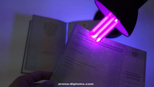 Диплом бакалавра с приложением образца 2012 2013 годов смотреть онлайн