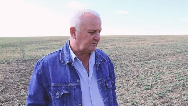 ВСХОДЫ РАПСА смотреть онлайн