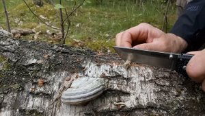 Нож Cold Steel Voyager tanto Large AUS 10A. Тест / testing