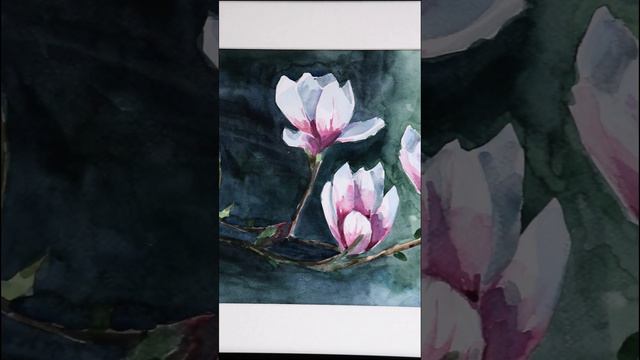 Magnolia obraz akwarela A3