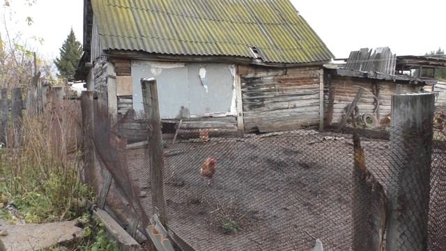Задняя.Сторона.Сарая.В.Плачевном.Состояний.Требующего.Большого.Ремонта.21.10.2020.года.