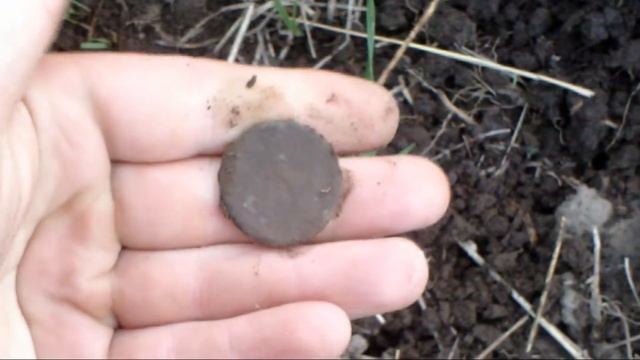 Вечер, пляж, зачётные находки!!! смотреть онлайн