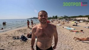 Одесса сегодня. Пляжи Одессы от Ланжерона до Аркадии. ЖД Вокзал. Мина на пляже. Отрада. #зоотроп