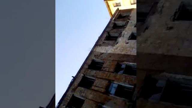 Выборг смотреть онлайн