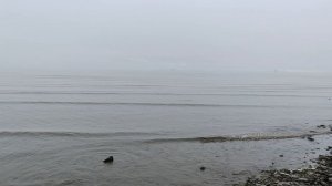 Туманный берег Охотского моря в Магадане