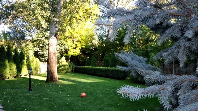 Дачные краски смотреть онлайн