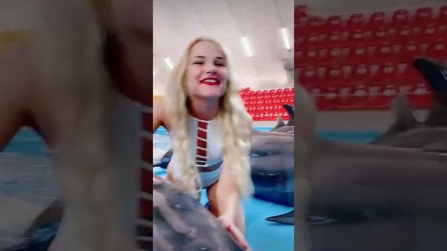 Плаваю с дельфинами? смотреть онлайн