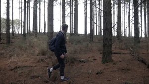Гриб Веселка польза и вред