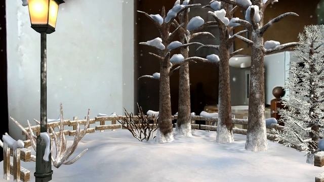 Белые Розы.  Ноябрь- 2023.