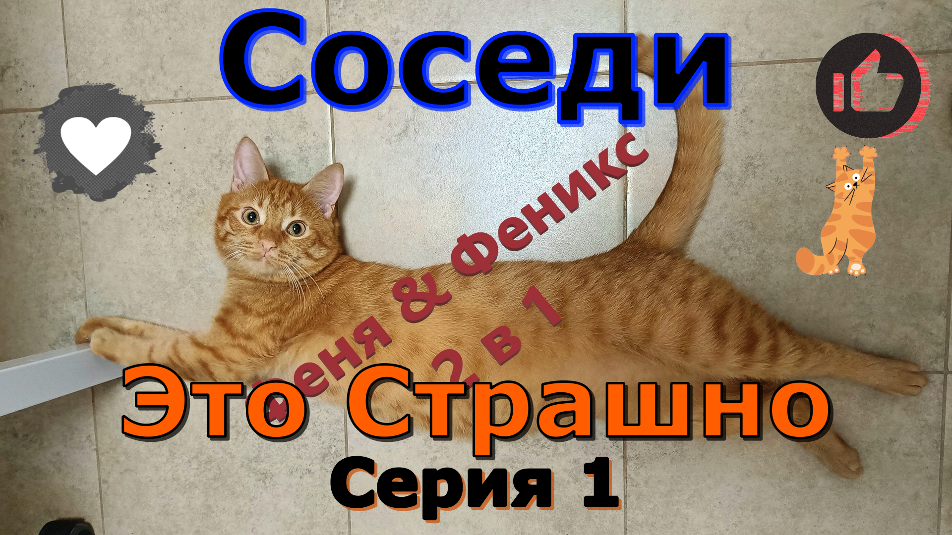 Соседи Это Страшно. Серия 1. Начало. Кот Феня, он же Феникс, боится соседей.