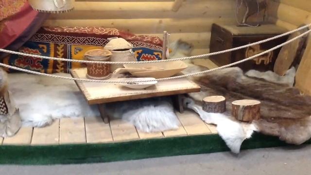 Двухметровый Шаман в аэропорту Сургута, Этнографический уголок «Летающая Югра» смотреть онлайн