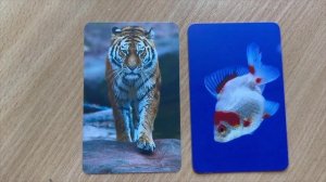 Тест на развитие интуиции и ясновидения. 20 Задание. Как развить ясновидение. Тест на интуицию