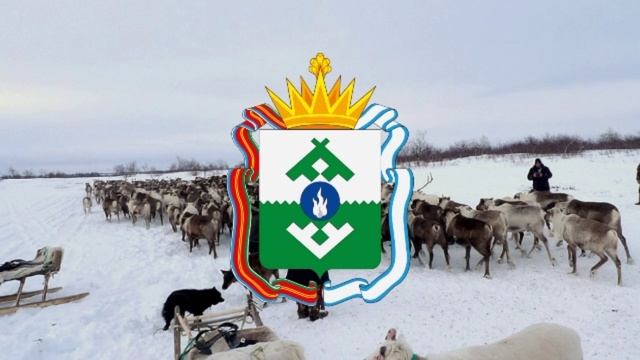 Гимн Ненецкого автономного округа. смотреть онлайн