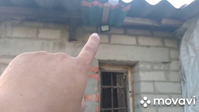 Процесс пошёл Загон для наших свинюшек. смотреть онлайн