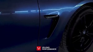 Veleno Performance Exhaust, BMW 428i, Valvetronic Catback Exhaust