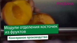 Варианты удаления косточек из фруктов на производстве | Переработка персика, абрикоса, сливы и вишни