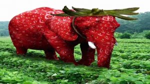 Клубничный слон...