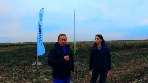 Опыт использования комбайна CLAAS JAGUAR 870 на уборке кукурузы