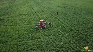 Полив, удобрение и обработка картофельных полей. Baltic Seed