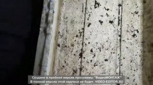 РАЗВЕДЕНИЕ ЧЕРВЯ С НОЛЯ. Посылка с червями от Андрея Ткаченко из Белгорода.