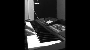 Roland E09 Powerful Demo | Distorted lead tone | keyboard solo