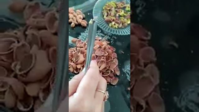 как быстро почистить фисташки. смотреть онлайн