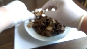 Коляный орех. Водяной орех. Чилим. Рогульник.